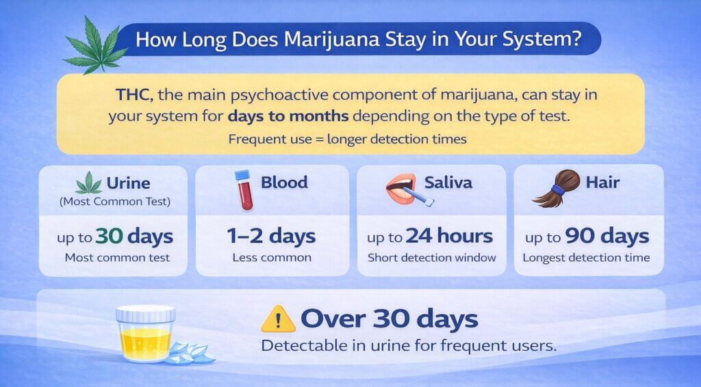 How Long Does Weed Stay in Your System? (Urine, Saliva, Hair)